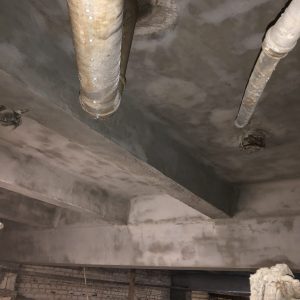 IMG_011767
